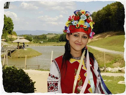 Bosnian Interpreter
